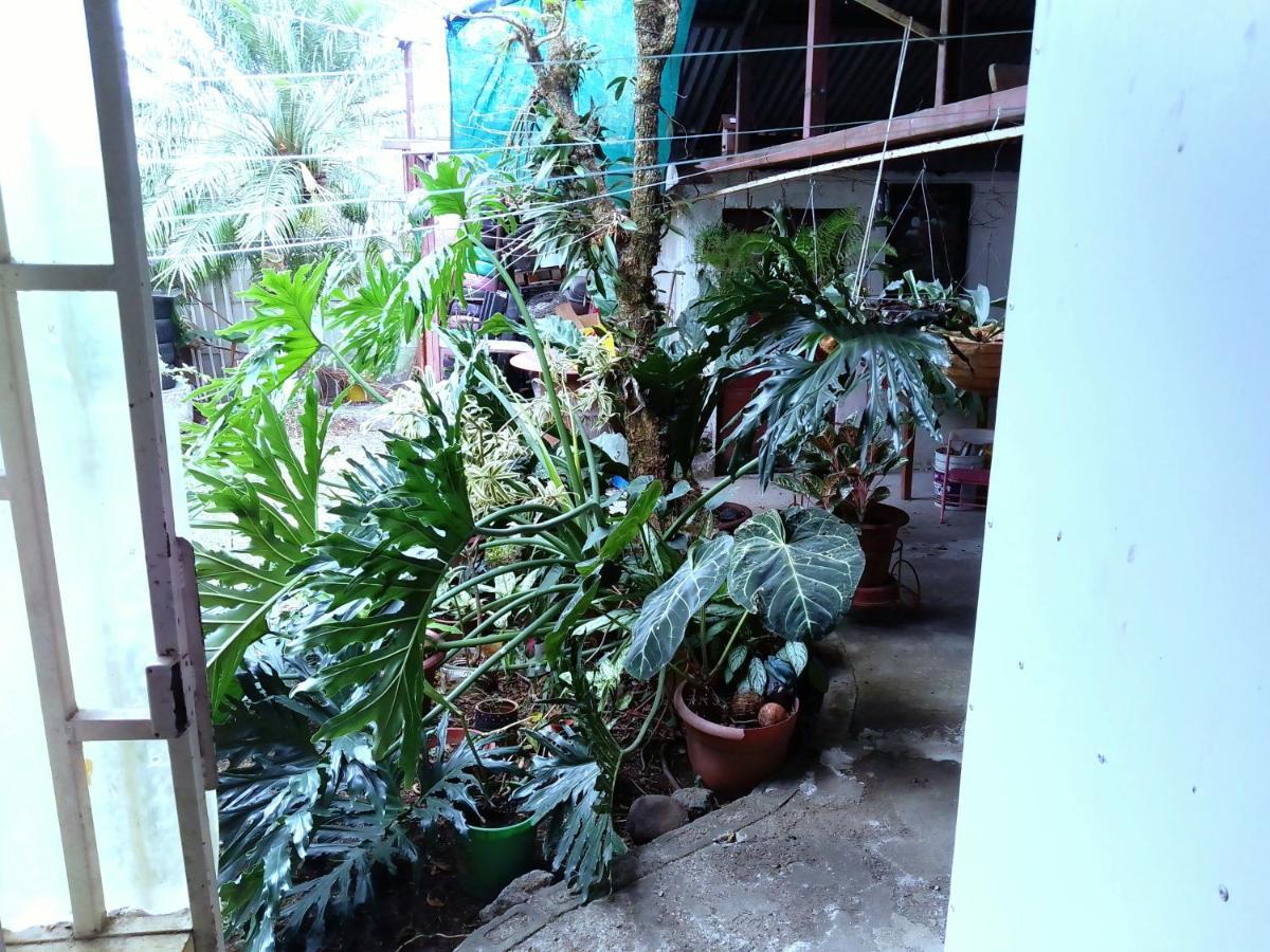 Alexander B&B Alajuela Luaran gambar