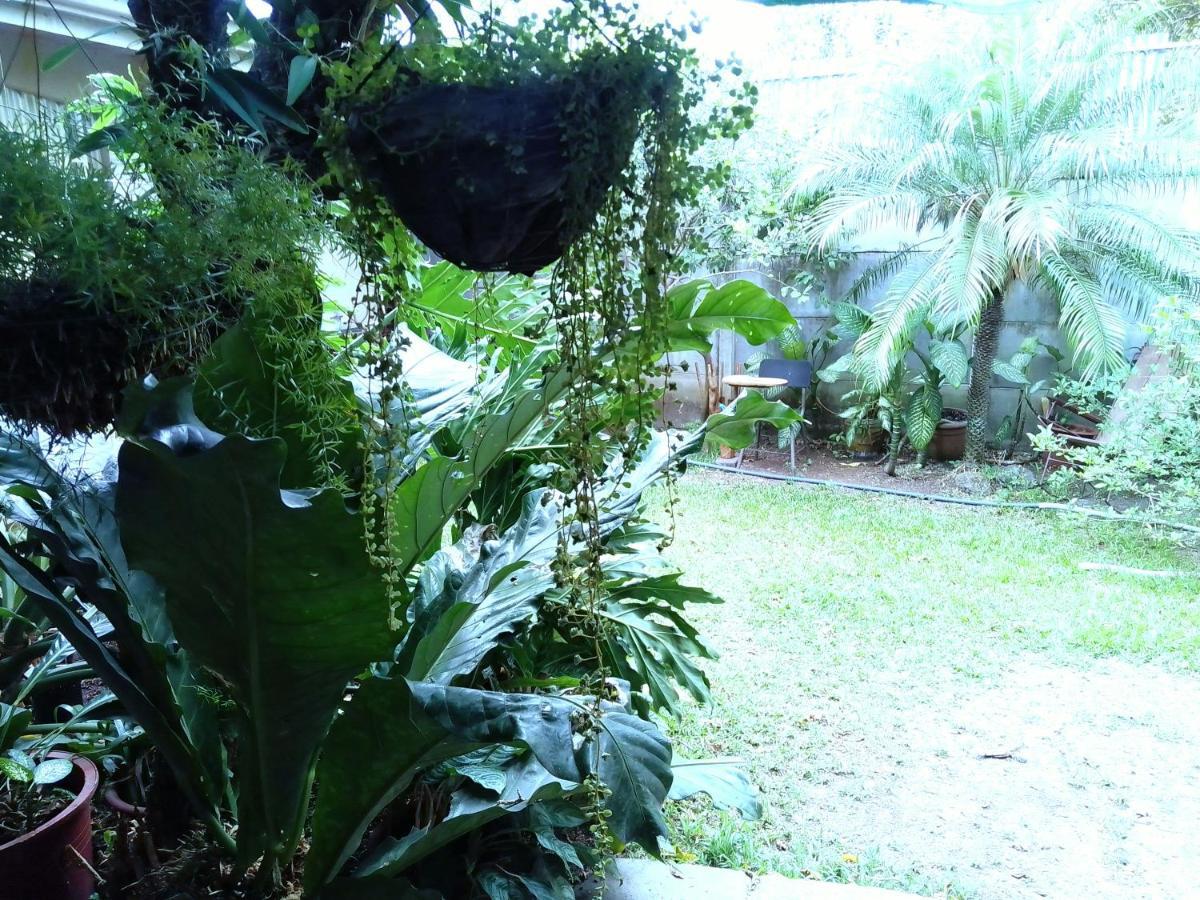Alexander B&B Alajuela Luaran gambar