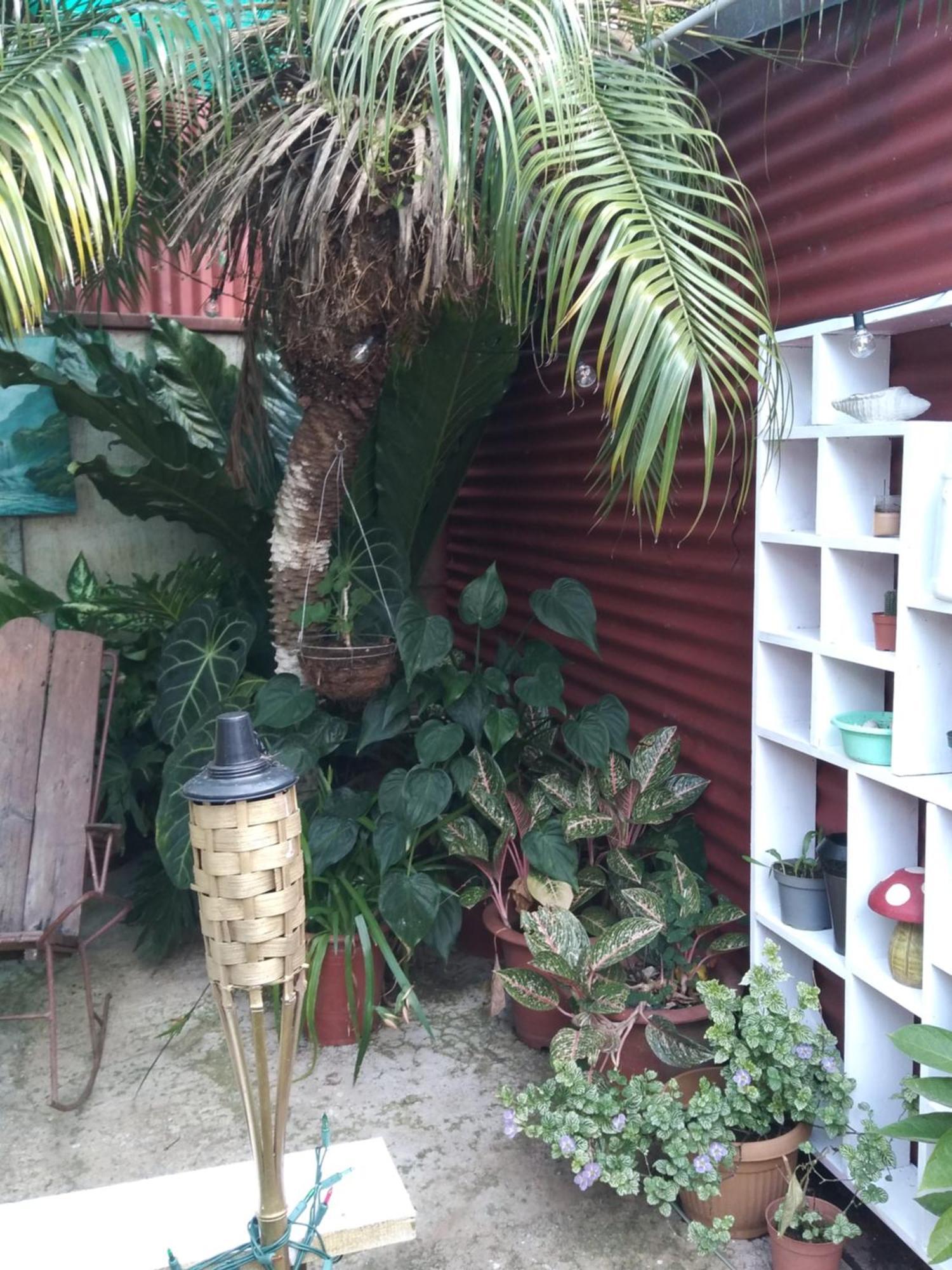 Alexander B&B Alajuela Luaran gambar
