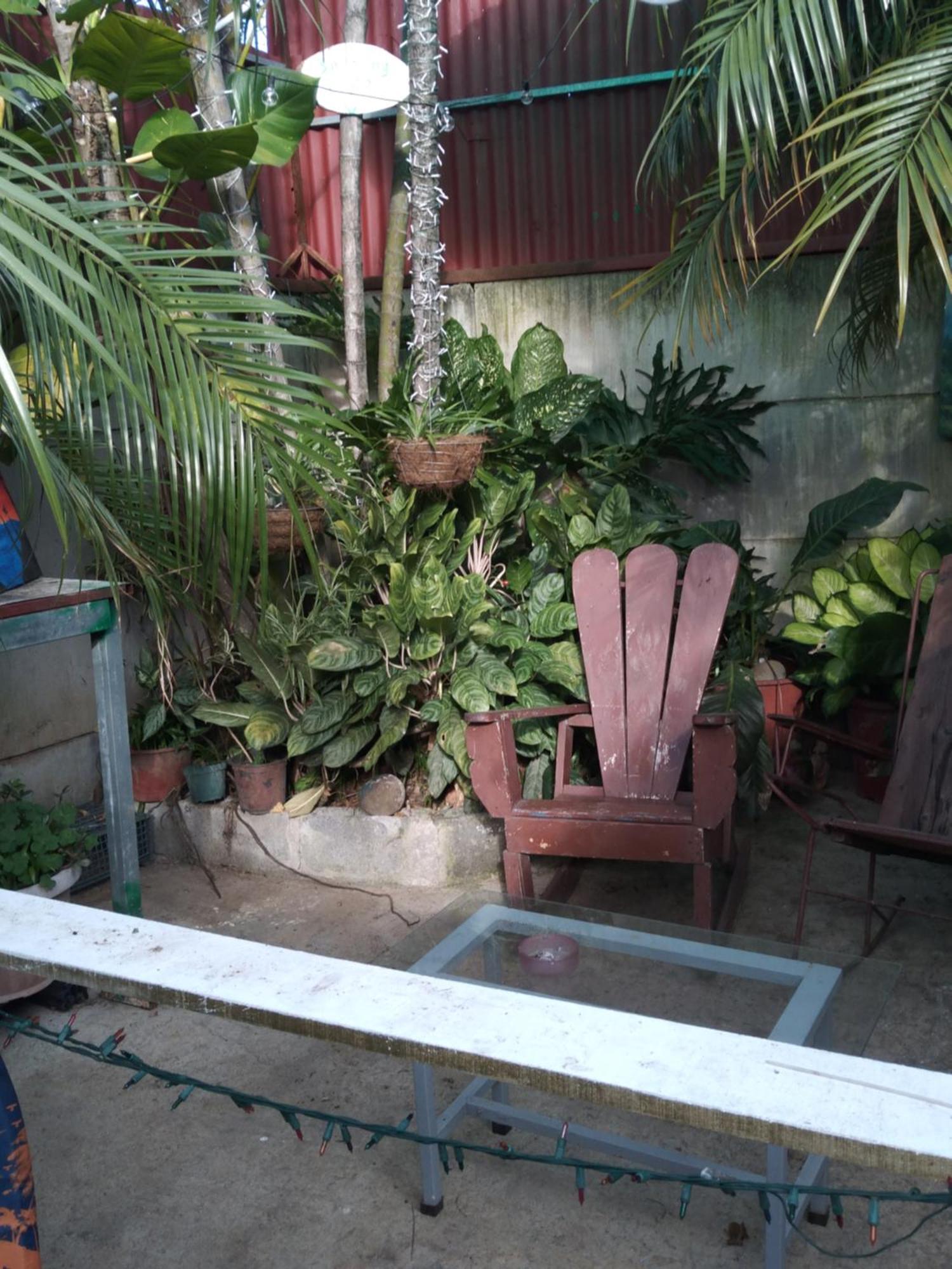 Alexander B&B Alajuela Luaran gambar