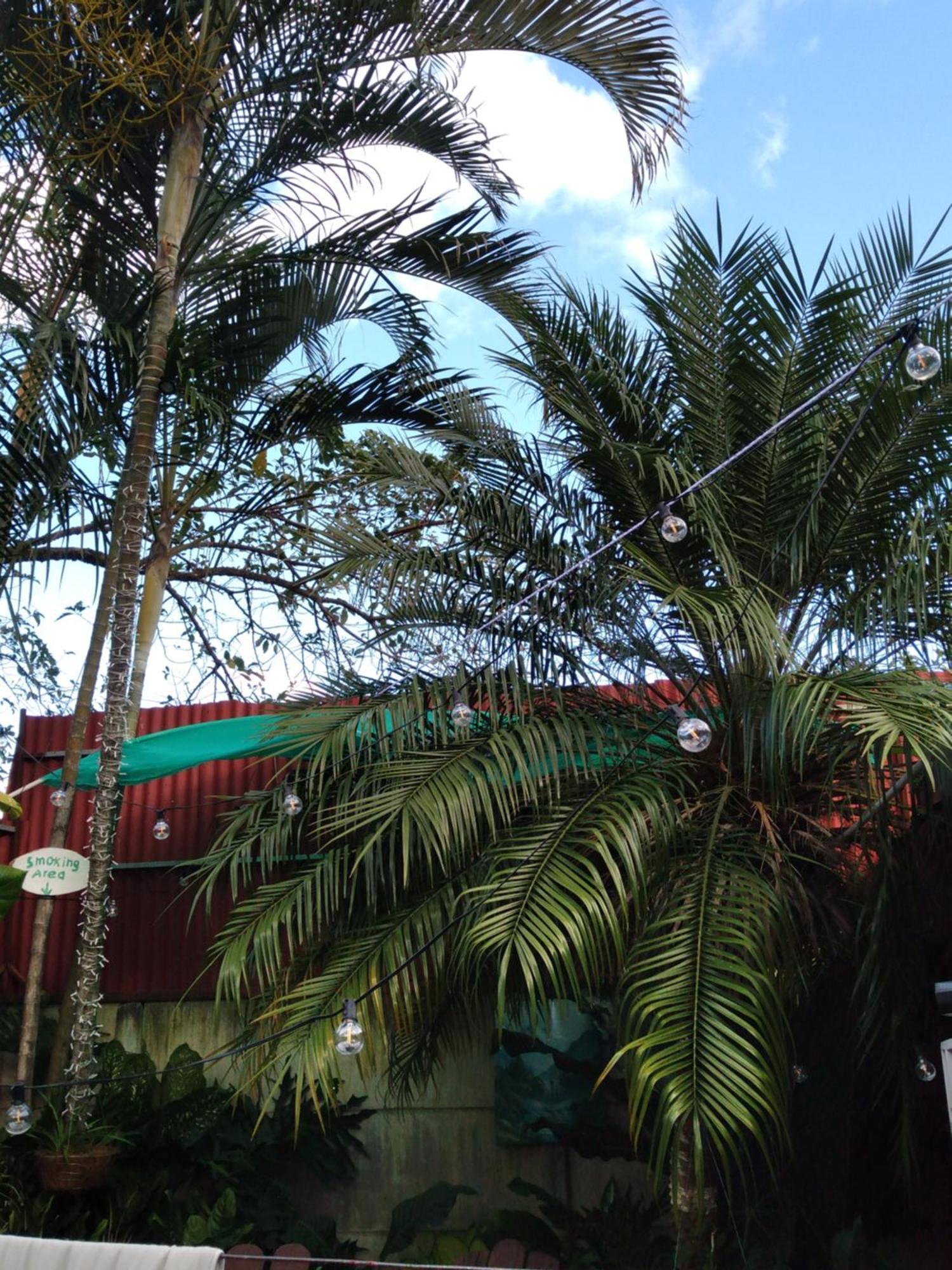Alexander B&B Alajuela Luaran gambar